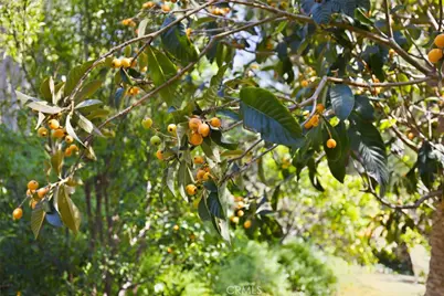 11385 La Vereda, North Tustin, CA 92705 - Photo 56