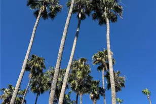 51 Seabrook Cove, Newport Beach, CA 92660 - Photo 2