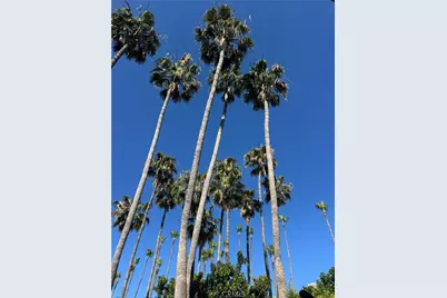 51 Seabrook Cove, Newport Beach, CA 92660 - Photo 8