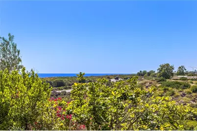 28 Sandy Cv, Newport Coast, CA 92657 - Photo 28