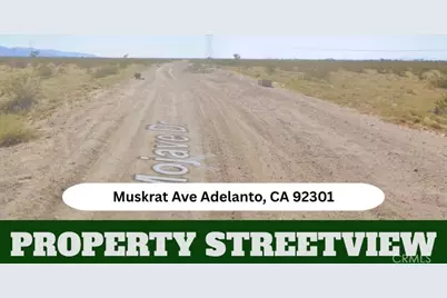 0 Muskrat, Adelanto, CA 92301 - Photo 10