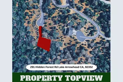 291 Hidden Forest, Lake Arrowhead, CA 92352 - Photo 4