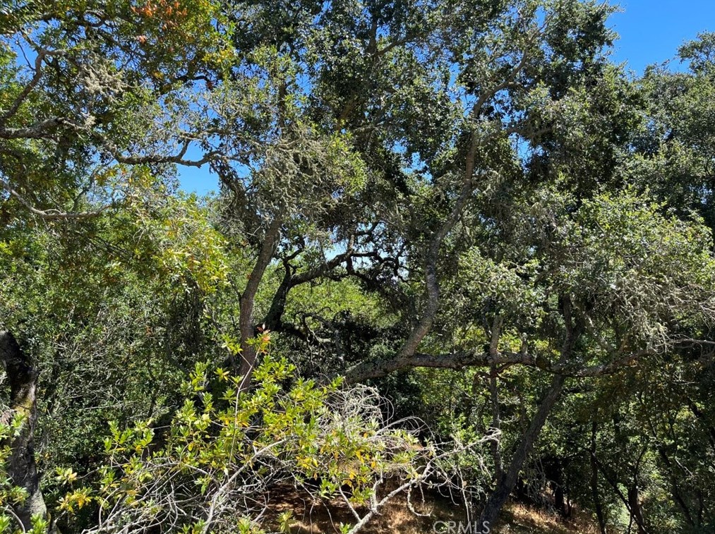 12300 San Marcos Rd, Atascadero, CA 93422
