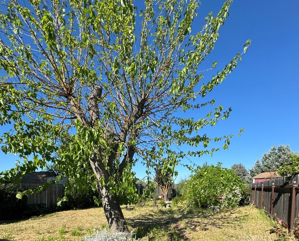 1731 Ponderosa Ln, Lake Nacimiento CA  93446-3633 exterior