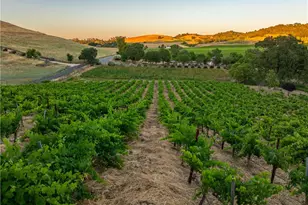 9480 Chimney Rock Rd, Paso Robles, CA 93446 - Photo 64