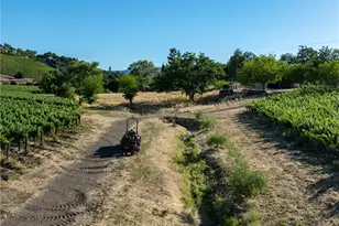 9480 Chimney Rock Rd, Paso Robles, CA 93446 - Photo 50