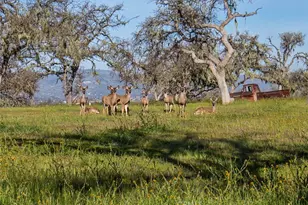 930 Windwood Rd, Paso Robles, CA 93446 - Photo 60