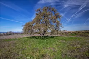 930 Windwood Rd, Paso Robles, CA 93446 - Photo 32