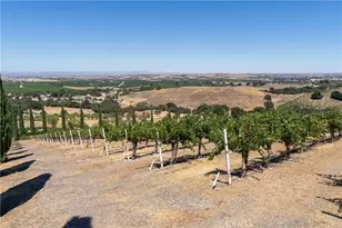 725 Spring Creek Way, Templeton, CA 93465 - Photo 62