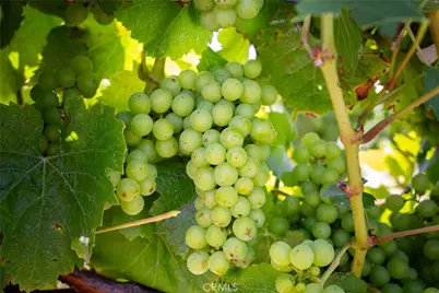 5502 Los Ranchos Road, San Luis Obispo, CA 93401 - Photo 34