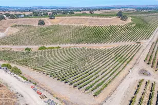 4825 Mill Rd, Paso Robles, CA 93446 - Photo 4