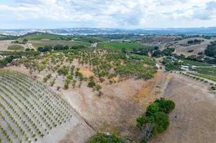 1670 Kiler Canyon, Paso Robles, CA 93446 - Photo 24