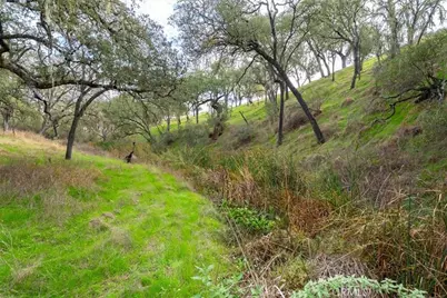 1505 Barley Grain, Paso Robles, CA 93446 - Photo 44