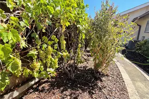 3279 Firtree Way, Paso Robles, CA 93446 - Photo 16