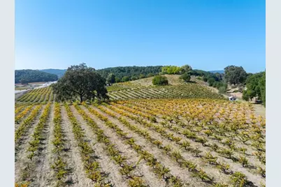 3750 W Highway 46, Templeton, CA 93465 - Photo 4