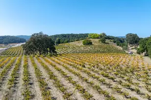 3750 W Hwy 46, Templeton, CA 93465 - Photo 4