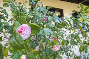 8355 San Andres, Atascadero, CA 93422 - Photo 48