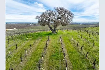4774 Mill Road, Paso Robles, CA 93446 - Photo 14