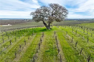 4774 Mill Rd, Paso Robles, CA 93446 - Photo 14