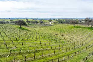 4774 Mill Rd, Paso Robles, CA 93446 - Photo 6