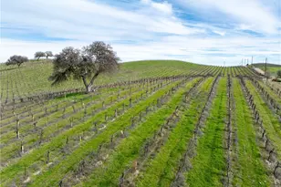 4774 Mill Rd, Paso Robles, CA 93446 - Photo 20