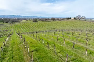 4774 Mill Rd, Paso Robles, CA 93446 - Photo 16