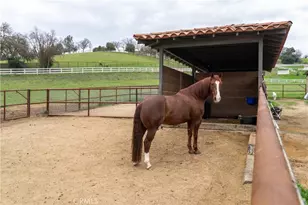 805 Spring Creek Way, Templeton, CA 93465 - Photo 48