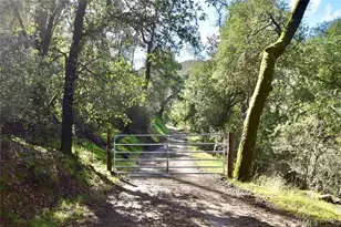 76450 Deer Pass Rd, Bradley, CA 93426 - Photo 44