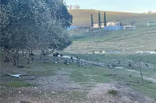 76671 Hesperia, Bradley, CA 93426 - Photo 26