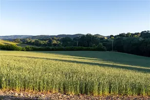 5250 5260 Vineyard, Paso Robles, CA 93446 - Photo 74