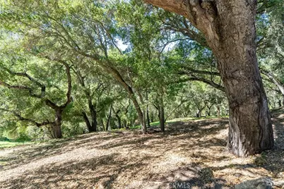2180 San Fernando, Atascadero, CA 93422 - Photo 4
