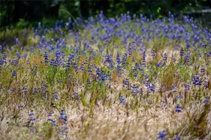 12500 Cenegal, Atascadero, CA 93422 - Photo 68