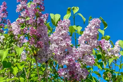 3956 Maricopa, Atascadero, CA 93422 - Photo 44