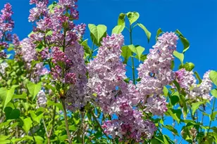 3956 Maricopa, Atascadero, CA 93422 - Photo 44