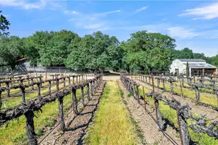 53600 Bradley Lockwood, Bradley, CA 93426 - Photo 62