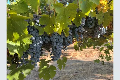 53600 Bradley Lockwood, Bradley, CA 93426 - Photo 56