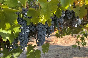 53600 Bradley Lockwood, Bradley, CA 93426 - Photo 56