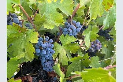 53600 Bradley Lockwood, Bradley, CA 93426 - Photo 58