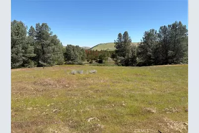 705 Calf Canyon, Creston, CA 93432 - Photo 2