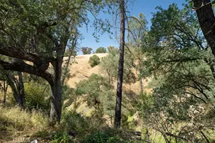 2861 Old Wrangler Ln, Paso Robles, CA 93446 - Photo 16