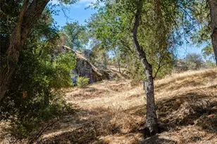 1575 Parkhill Rd, Santa Margarita, CA 93453 - Photo 48