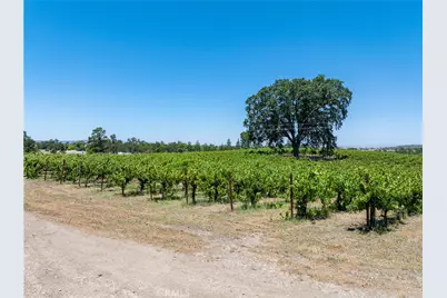 175 White Hawk, Templeton, CA 93465 - Photo 18