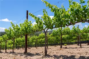 1618 Kiler Canyon, Paso Robles, CA 93446 - Photo 48