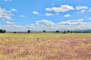 50645 Lockwood Rd, Lockwood, CA 93932 - Photo 42
