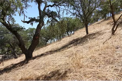 7950 Blue Moon Road, Paso Robles, CA 93446 - Photo 26
