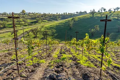 550 Villa Lots Rd, Paso Robles, CA 93446 - Photo 24