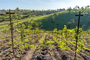 550 Villa Lots Rd, Paso Robles, CA 93446 - Photo 24