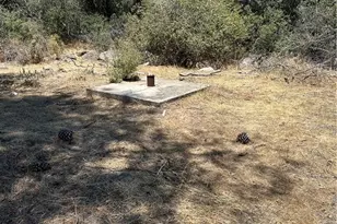 248 Bodfish Canyon, Bodfish, CA 93205 - Photo 14