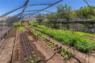 5750 El Pharo, Paso Robles, CA 93446 - Photo 42
