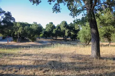 3625 La Luz Road, Atascadero, CA 93422 - Photo 8